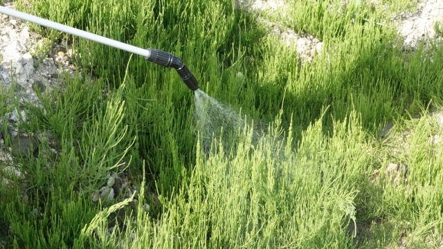 除草剤・除草シート施工